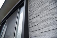 2020 0317 Tsama mae022.JPG