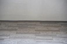 2020 0317 Tsama mae023.JPG