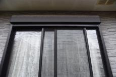 2020 0317 Tsama mae024.JPG