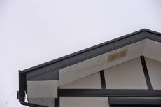 2020 0317 Tsama mae026.JPG