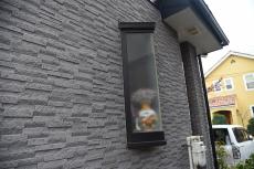 2020 0317 Tsama mae030.JPG