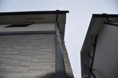 2020 0317 Tsama mae031.JPG