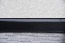 2020 0317 Tsama mae035.JPG