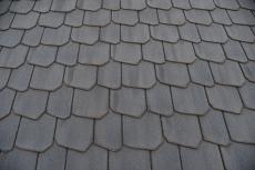 2020 0317 Tsama mae037.JPG