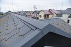 2020 0317 Tsama mae040.JPG