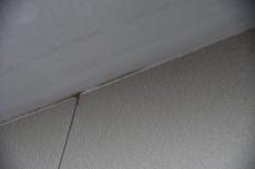 2020 0317 Tsama mae042.JPG