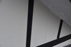 2020 0317 Tsama mae043.JPG