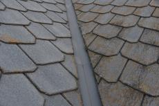 2020 0317 Tsama mae045.JPG