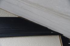 2020 0317 Tsama mae049.JPG