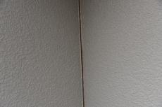 2020 0317 Tsama mae055.JPG