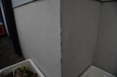 2020 0317 Tsama mae058.JPG