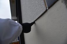 2020 0317 Tsama mae059.JPG