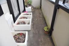 2020 0317 Tsama mae060.JPG