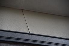 2020 0317 Tsama mae064.JPG