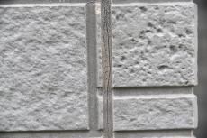 2020 0324 Fsama mae007.JPG