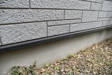 2020 0324 Fsama mae017.JPG