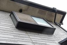 2020 0324 Fsama mae024.JPG