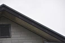 2020 0324 Fsama mae028.JPG