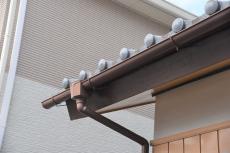 2020 0324 Msama mae013.JPG