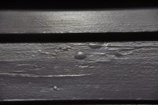 2020 0324 Msama mae020.JPG