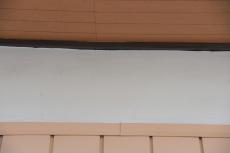 2020 0324 Msama mae024.JPG