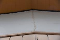 2020 0324 Msama mae031.JPG