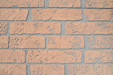 2020 0325 Ksama mae002.JPG