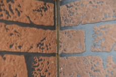 2020 0325 Ksama mae004.JPG