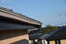 2020 0325 Ksama mae039.JPG