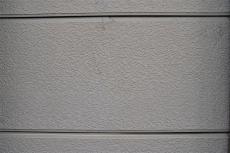 2020 0401 Ssama mae003.JPG