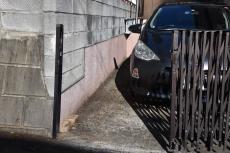 2020 0406 Tsama mae008.JPG