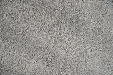 2020 0406 Tsama mae011.JPG