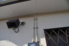 2020 0406 Tsama mae012.JPG