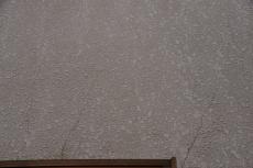 2020 0406 Tsama mae016.JPG