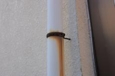 2020 0406 Tsama mae017.JPG