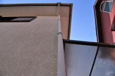 2020 0406 Tsama mae018.JPG