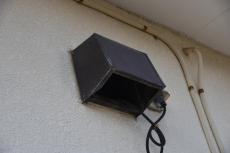 2020 0406 Tsama mae025.JPG