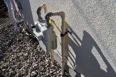 2020 0406 Tsama mae026.JPG