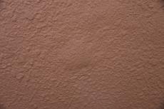 2020 0406 Tsama mae032.JPG