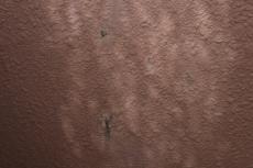 2020 0406 Tsama mae033.JPG