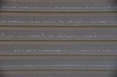 2020 0406 Tsama mae038.JPG