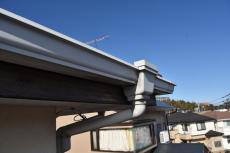 2020 0406 Tsama mae039.JPG