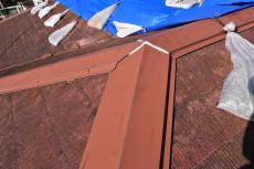 2020 0406 Tsama mae041.JPG