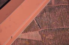 2020 0406 Tsama mae042.JPG