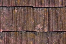 2020 0406 Tsama mae044.JPG