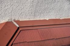 2020 0406 Tsama mae048.JPG