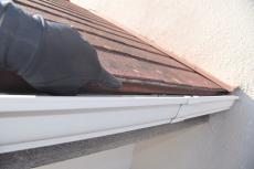 2020 0406 Tsama mae049.JPG