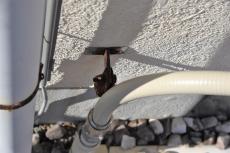 2020 0406 Tsama mae053.JPG