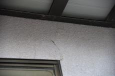 2020 0413 Tsama mae08.JPG