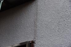 2020 0413 Tsama mae16.JPG